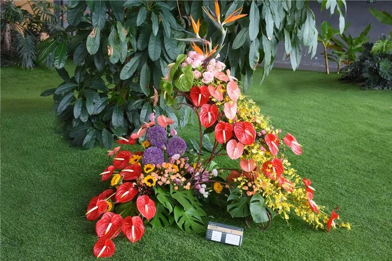 宏圖大展·河南省首屆紅掌插花花藝大賽圓滿落幕！