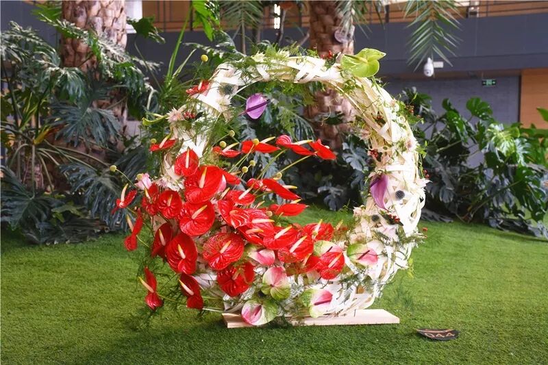 宏圖大展·河南省首屆紅掌插花花藝大賽圓滿落幕！