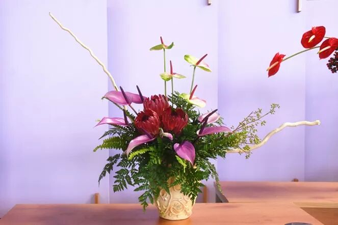 宏圖大展·河南省首屆紅掌插花花藝大賽圓滿落幕！