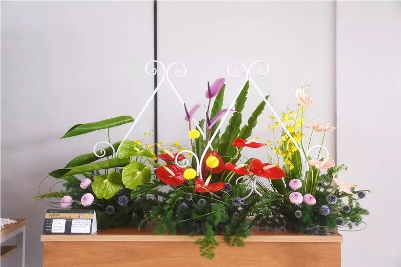 宏圖大展·河南省首屆紅掌插花花藝大賽圓滿落幕！