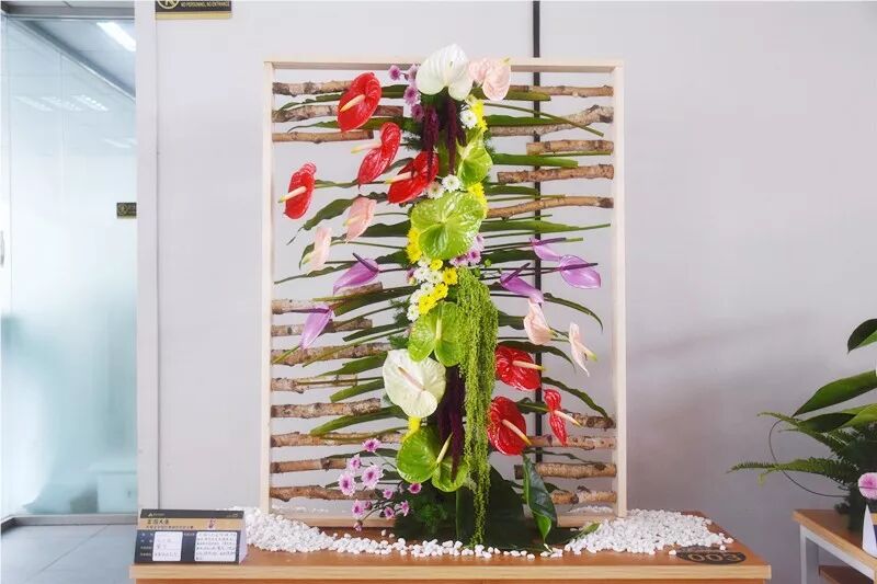 宏圖大展·河南省首屆紅掌插花花藝大賽圓滿落幕！