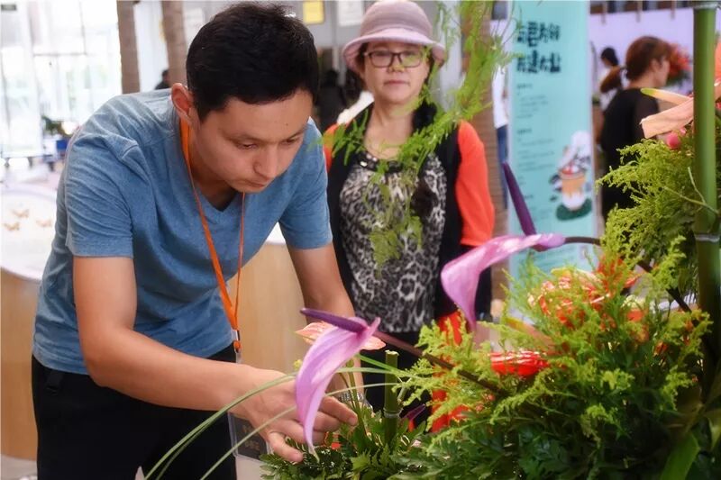 宏圖大展·河南省首屆紅掌插花花藝大賽圓滿落幕！