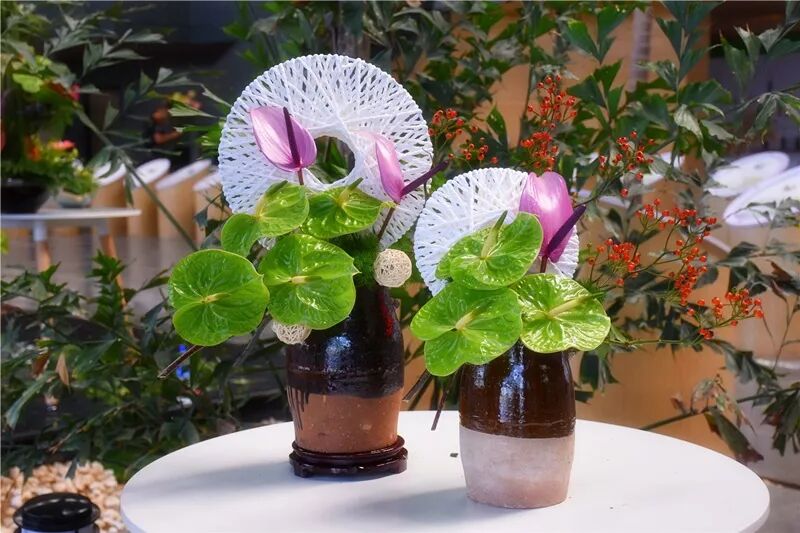 宏圖大展·河南省首屆紅掌插花花藝大賽圓滿落幕！