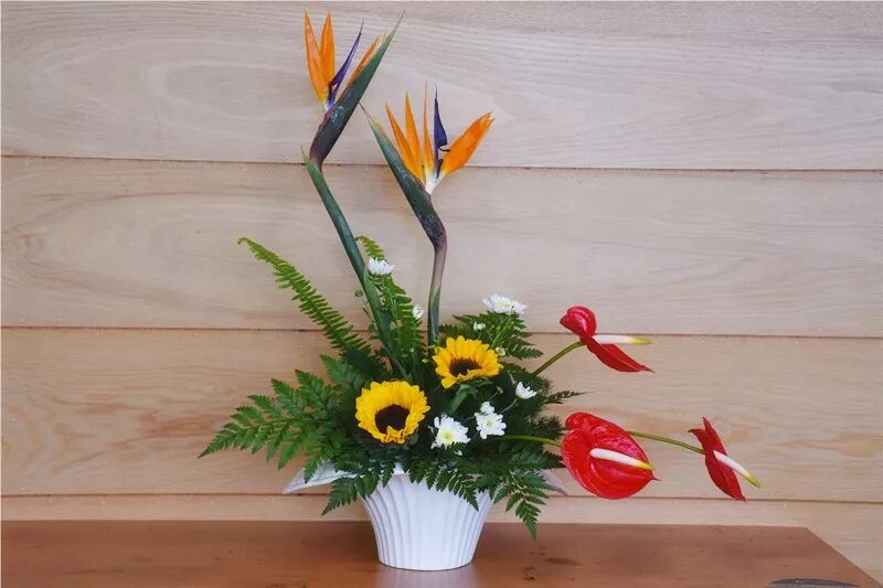 宏圖大展·河南省首屆紅掌插花花藝大賽圓滿落幕！