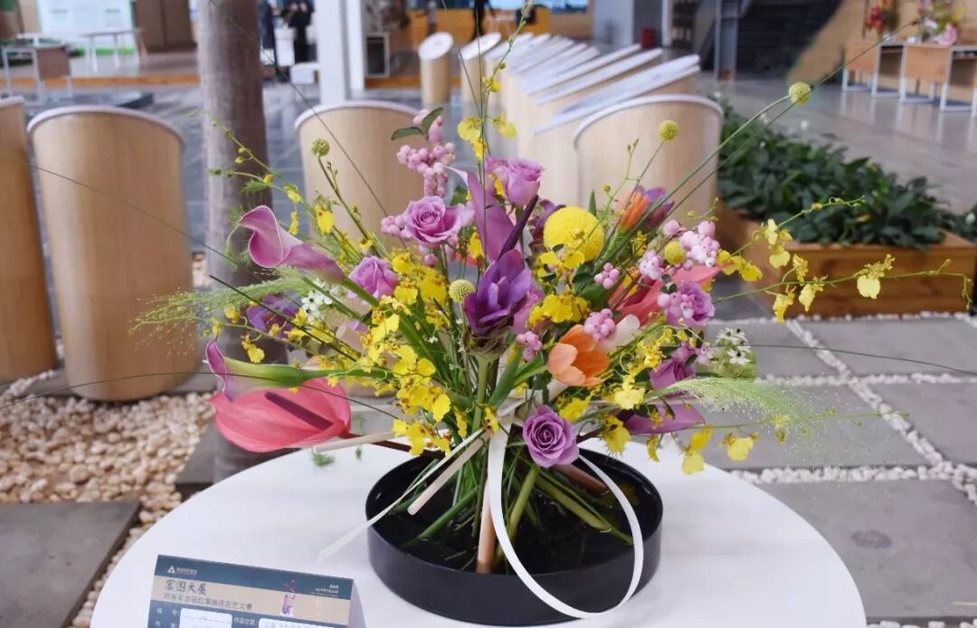 宏圖大展·河南省首屆紅掌插花花藝大賽圓滿落幕！