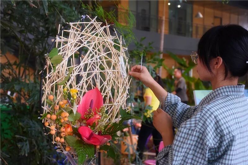 宏圖大展·河南省首屆紅掌插花花藝大賽圓滿落幕！