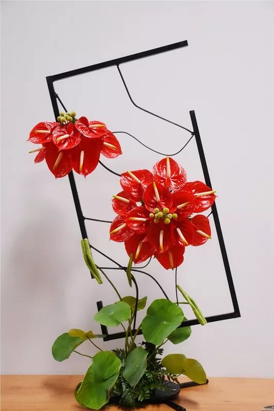 宏圖大展·河南省首屆紅掌插花花藝大賽圓滿落幕！