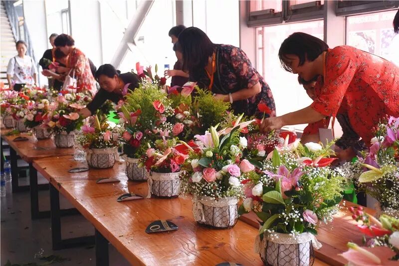 宏圖大展·河南省首屆紅掌插花花藝大賽圓滿落幕！