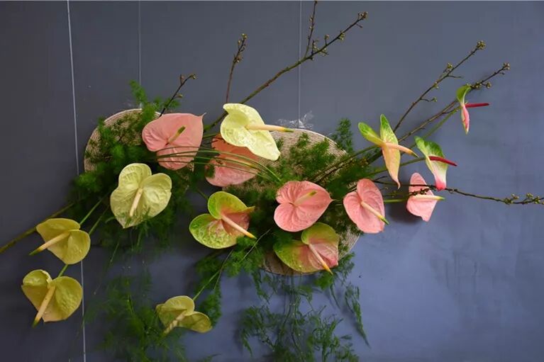 宏圖大展·河南省首屆紅掌插花花藝大賽圓滿落幕！