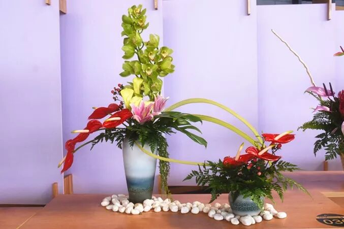 宏圖大展·河南省首屆紅掌插花花藝大賽圓滿落幕！