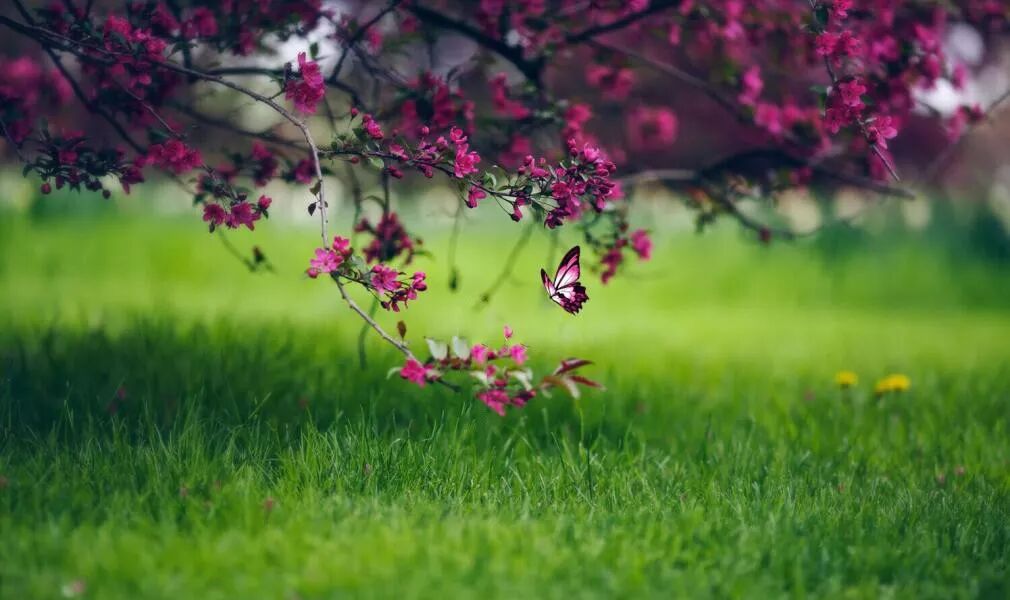 家，就要像春天般绚烂温暖！