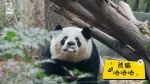 你知道科一斯基·奥尔德斯·拉夫斯基是谁吗？