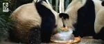 热干面、蛋烘糕3岁生日快乐！