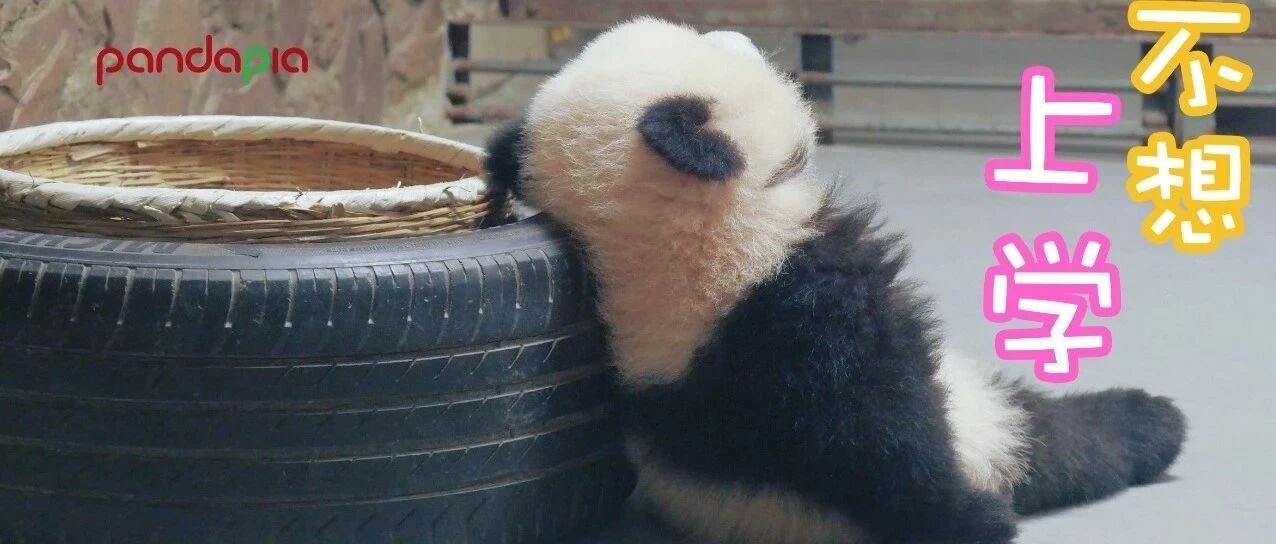 寒假作业还没写完，怎么暑假就结束了？？！