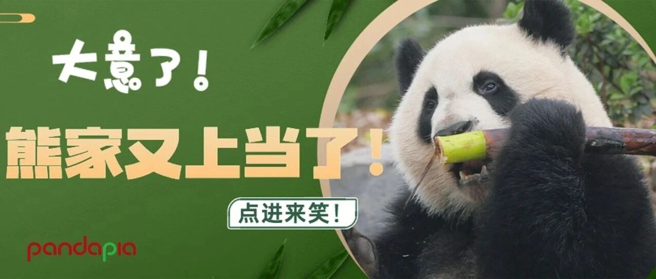 绩笑笑你可是女明星啊!说好的表情管理呢!!