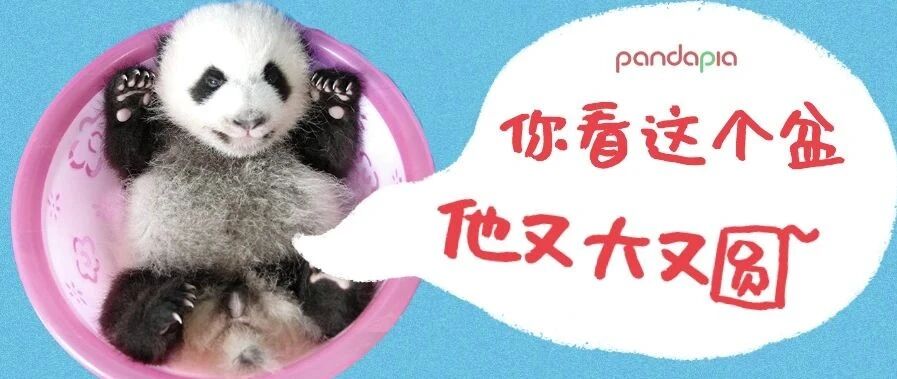 这些事到底是怎么做到全国统一的？