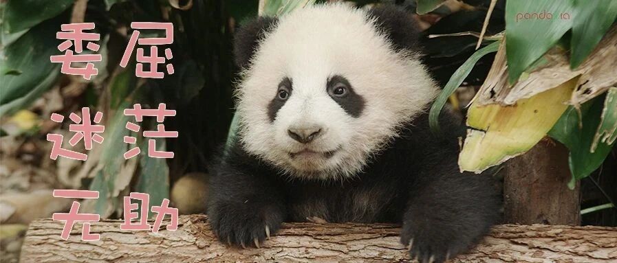 润玥：奶妈，你是不爱我了吗？