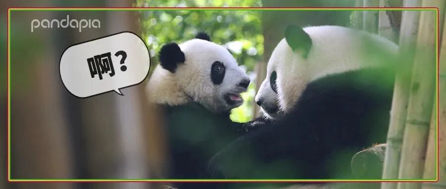 妈宝小伙长大后会怎样？