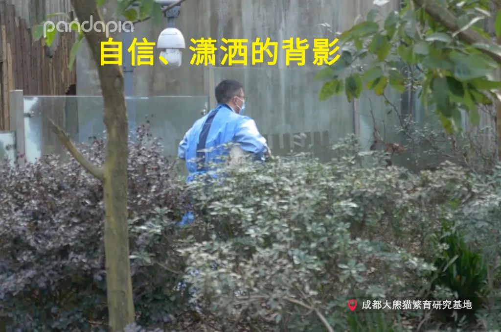 笑皇的排面有多大,三名饲养员接她回家。-微信头条网 笑皇的排面有多大,三名饲养员接她回家。