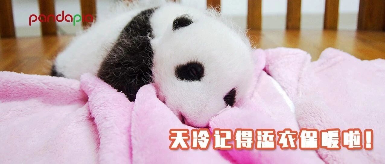 又到了乱穿衣服的季节，你的衣柜还够用吗？