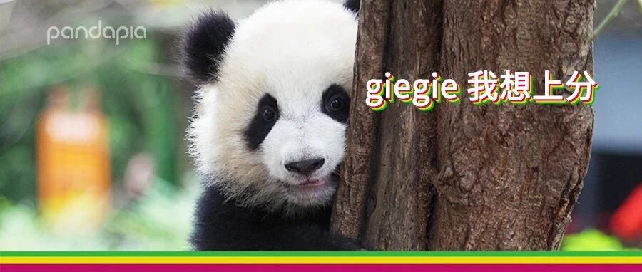 如果大熊猫开黑玩王者，战况会如何？