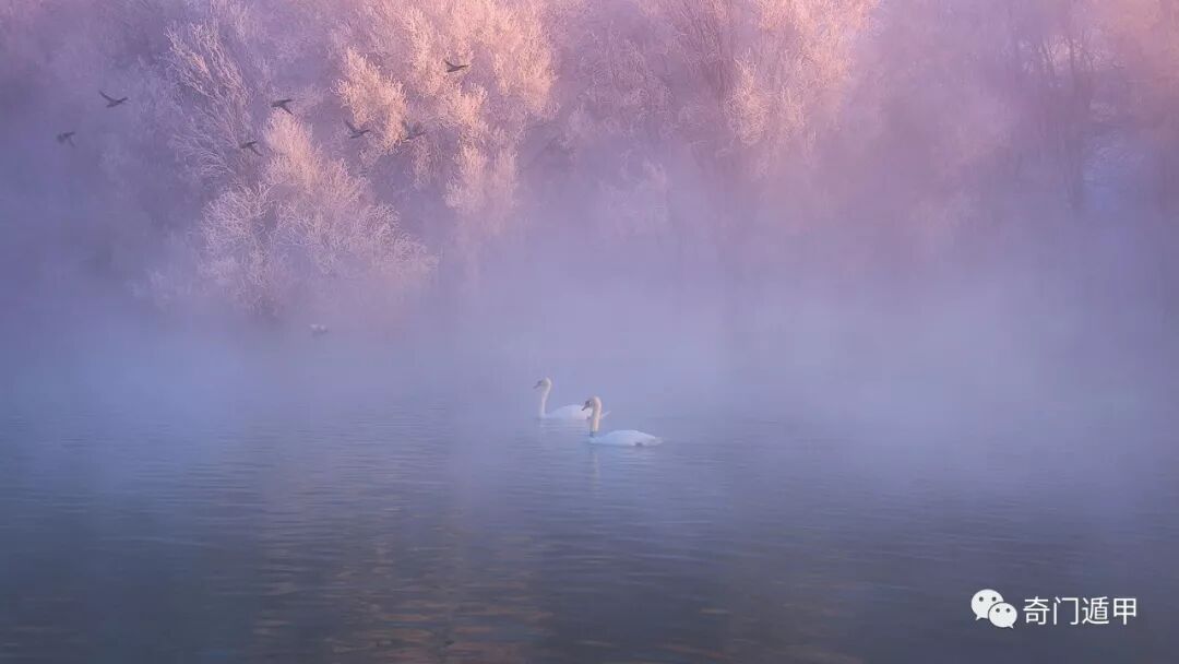 紫微斗数—男命女命的命盘详细看法有哪些不同？