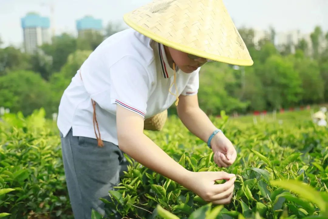 浙江樹人學院招聘教師信息_遼寧省實驗中學招聘教師信息_教師招聘信息