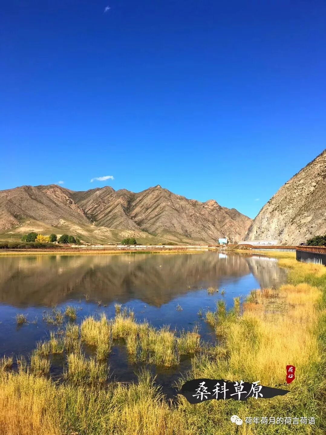 拉卜楞寺门诊部自产的洁白丸很有名,除了藏药本身的功效之外,经过阿卡