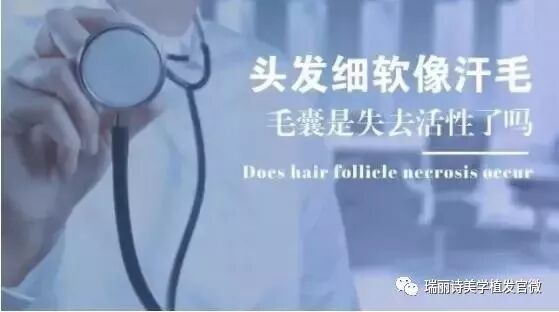 【专家答疑】不长头发，究竟是毛囊堵塞还是坏死？