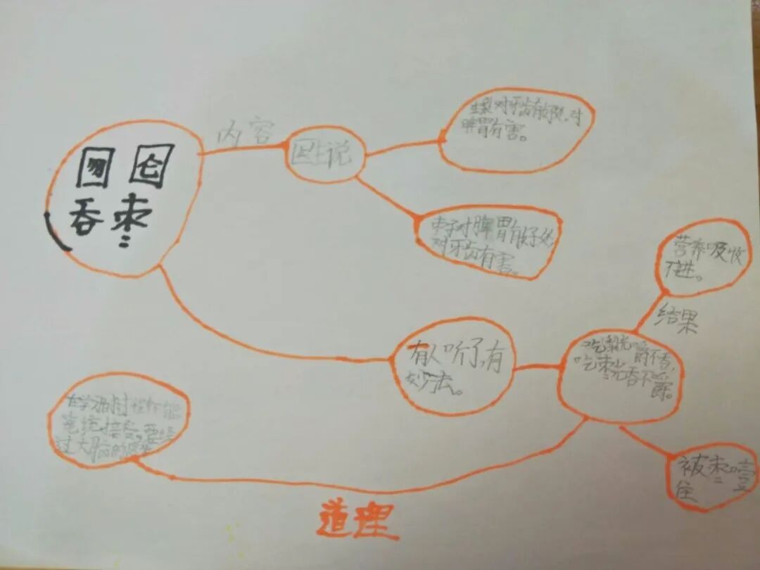 指导孩子画思维导图是最佳的亲子教育方式之一