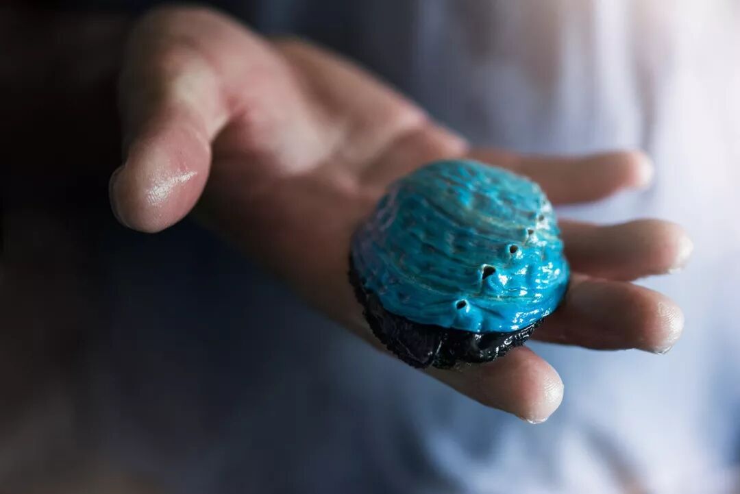 这种神奇的蓝色鲍鱼,被国人疯抢!美味爽口,风靡全球!