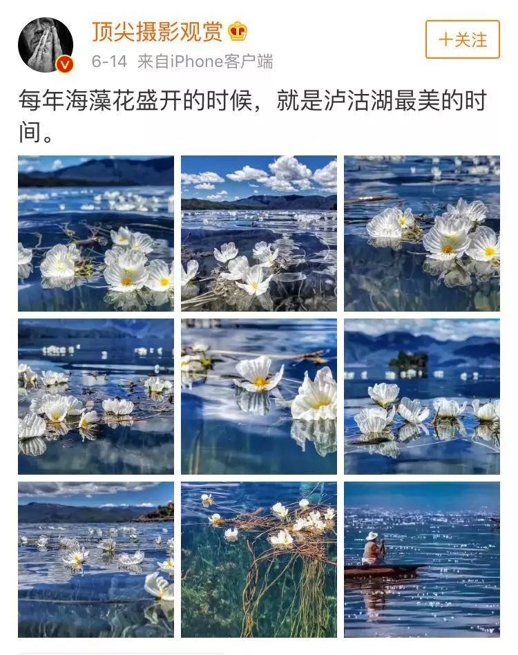 瀘沽湖的「水性楊花」火了！又浪又仙，關鍵是太好吃了…… 旅遊 第6張