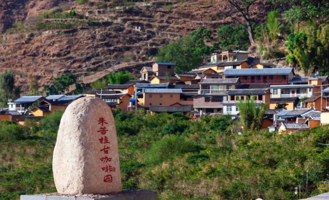 中國最隱秘的咖啡古村落：生於懸崖峭壁，樹齡超百年，祖祖輩輩把咖啡當水喝 旅遊 第25張