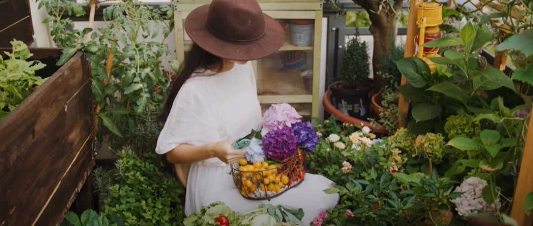 “越南李子柒”花1w爆改86㎡乡下出租屋，还在阳台造花园：真正有趣的家，都不是设计出来的