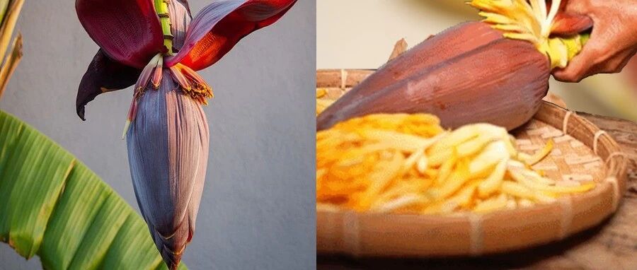 太上头！让人惊喜的不止广西表哥，还有各种奇奇怪怪的美食！