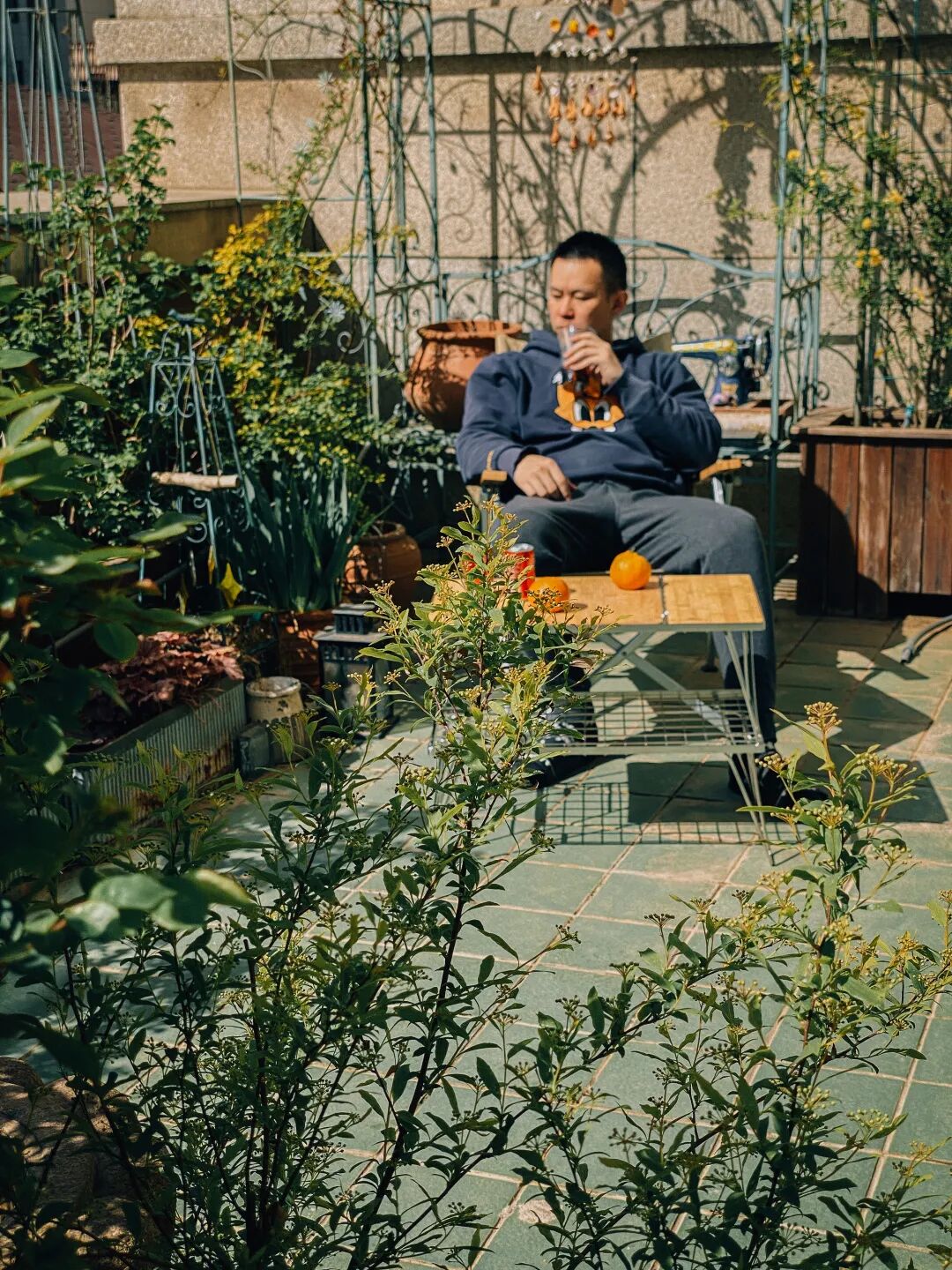 赋闲在家花3年打造露台花园