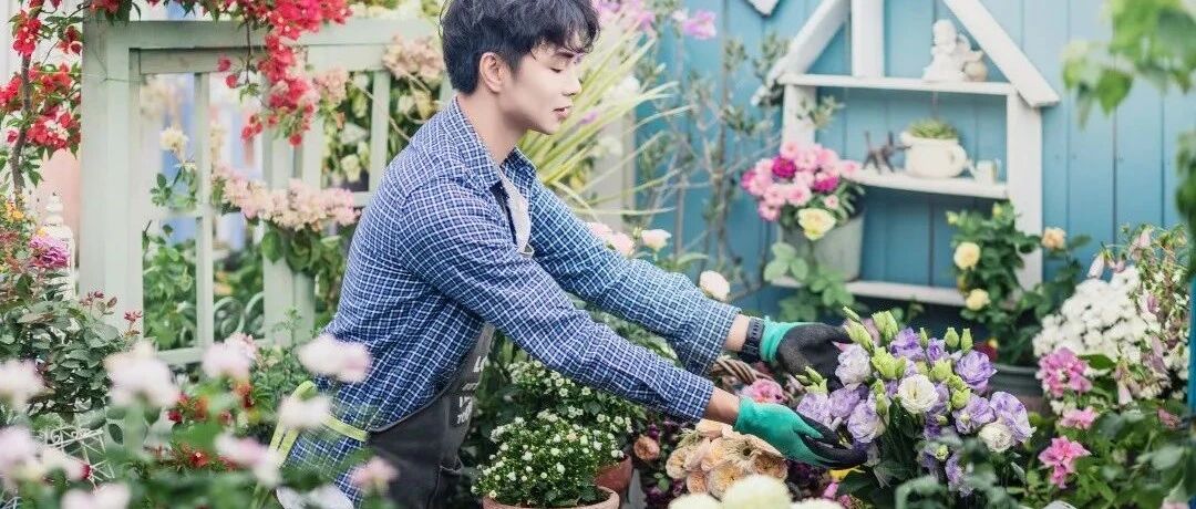 他用杂货堆出浪漫的露台花园，台风摧毁后却一次次重生，破茧成蝶