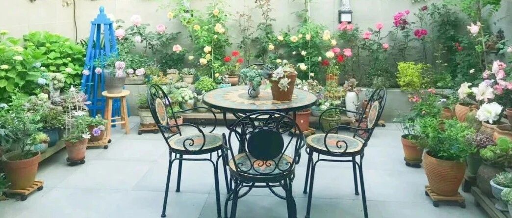 从城市到古镇，她在青城山下55㎡的周末花园重拾热爱的生活