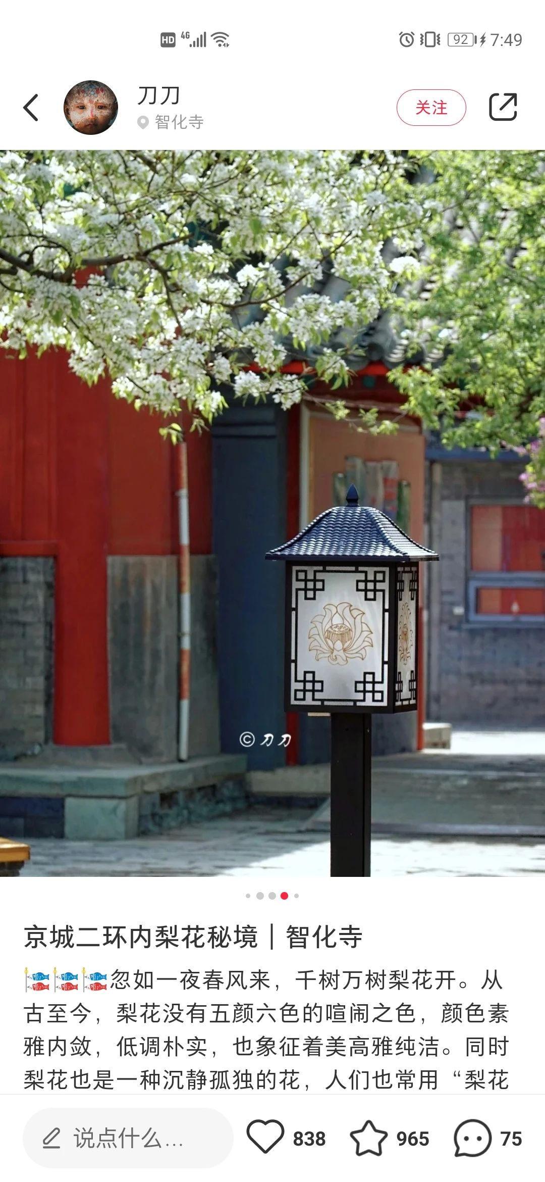 一到春天就美如画的古寺,花比香火旺,看完想出家-微信头条网 一到春天就美如画的古寺,花比香火旺,看完想出家