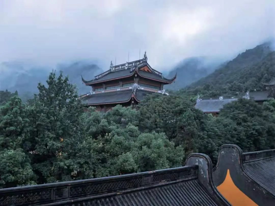 一到春天就美如画的古寺,花比香火旺,看完想出家-微信头条网 一到春天就美如画的古寺,花比香火旺,看完想出家