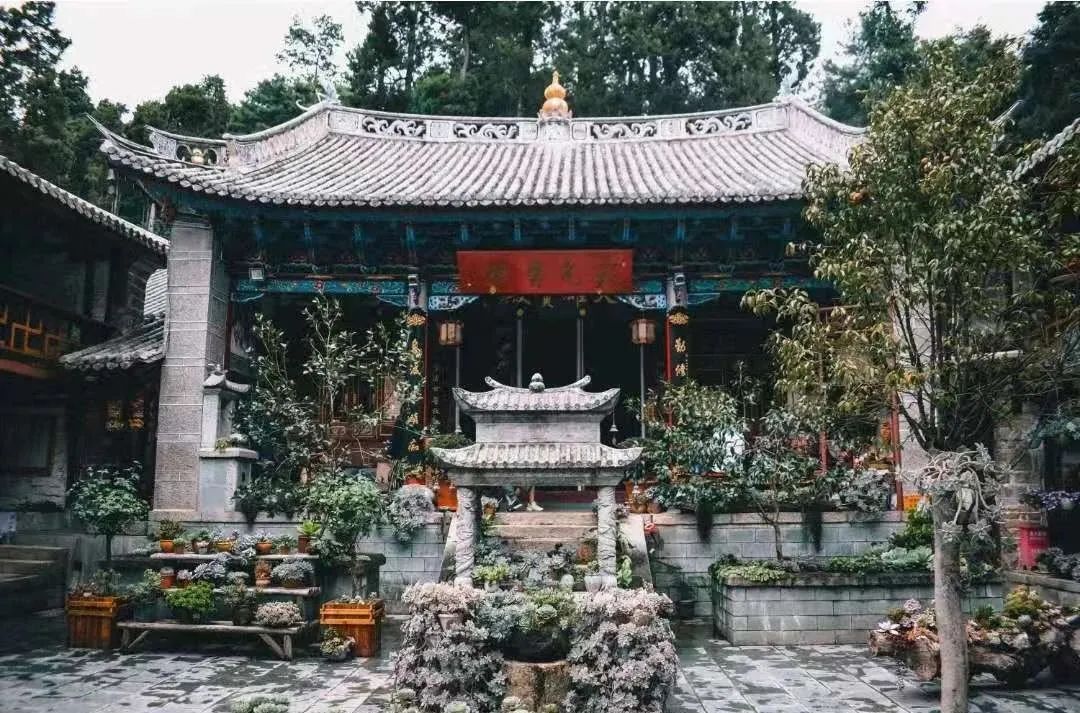 一到春天就美如画的古寺，花比香火旺，看完想出家