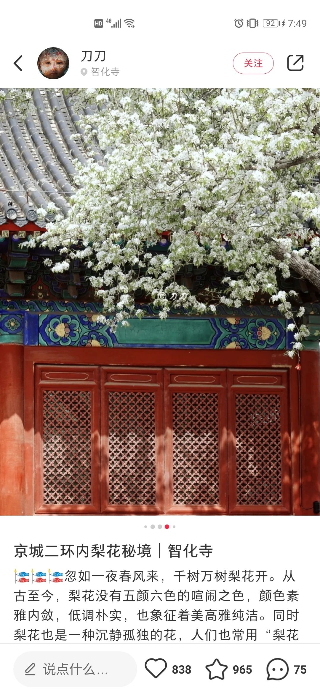 一到春天就美如画的古寺,花比香火旺,看完想出家-微信头条网 一到春天就美如画的古寺,花比香火旺,看完想出家