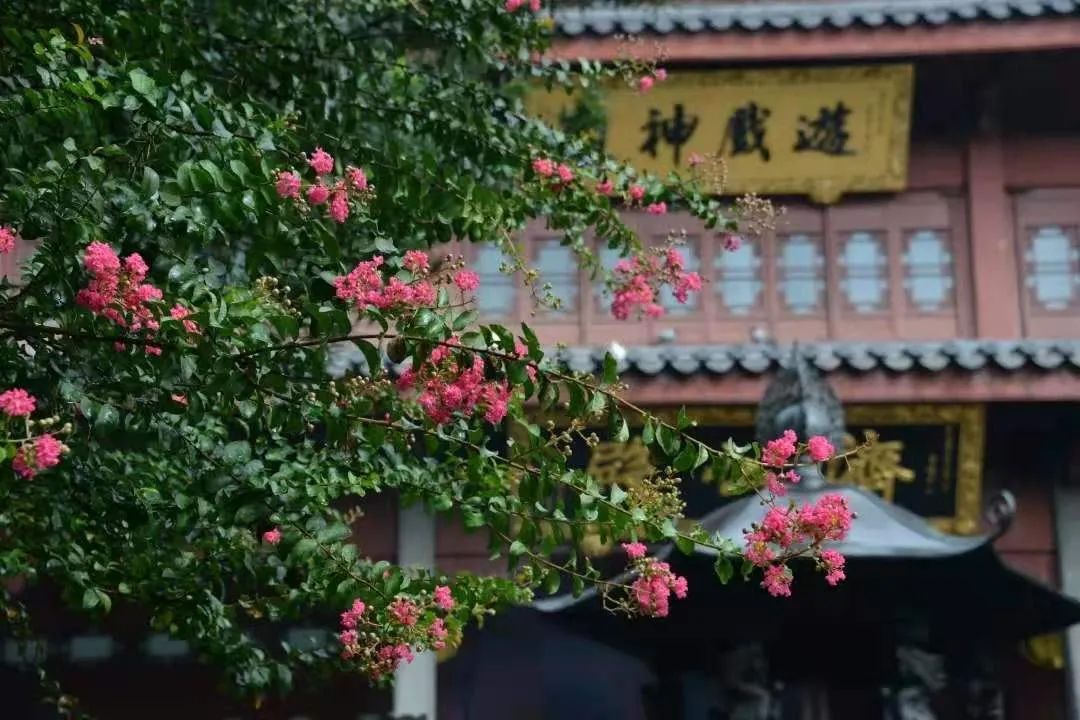 一到春天就美如画的古寺,花比香火旺,看完想出家-微信头条网 一到春天就美如画的古寺,花比香火旺,看完想出家