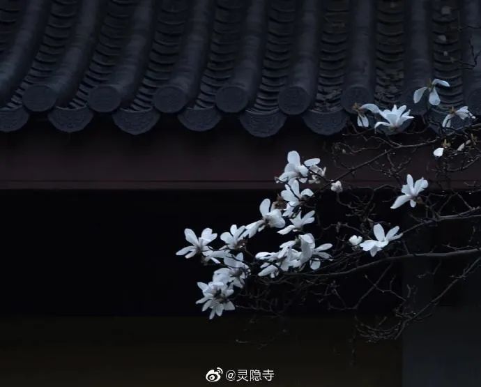 一到春天就美如画的古寺,花比香火旺,看完想出家-微信头条网 一到春天就美如画的古寺,花比香火旺,看完想出家