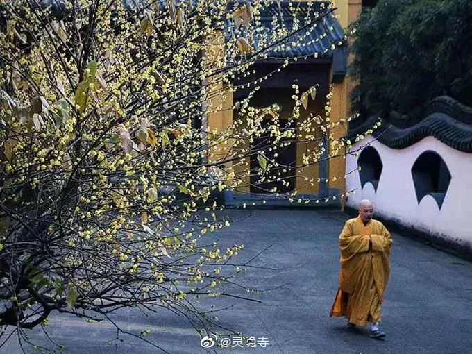 一到春天就美如画的古寺,花比香火旺,看完想出家-微信头条网 一到春天就美如画的古寺,花比香火旺,看完想出家