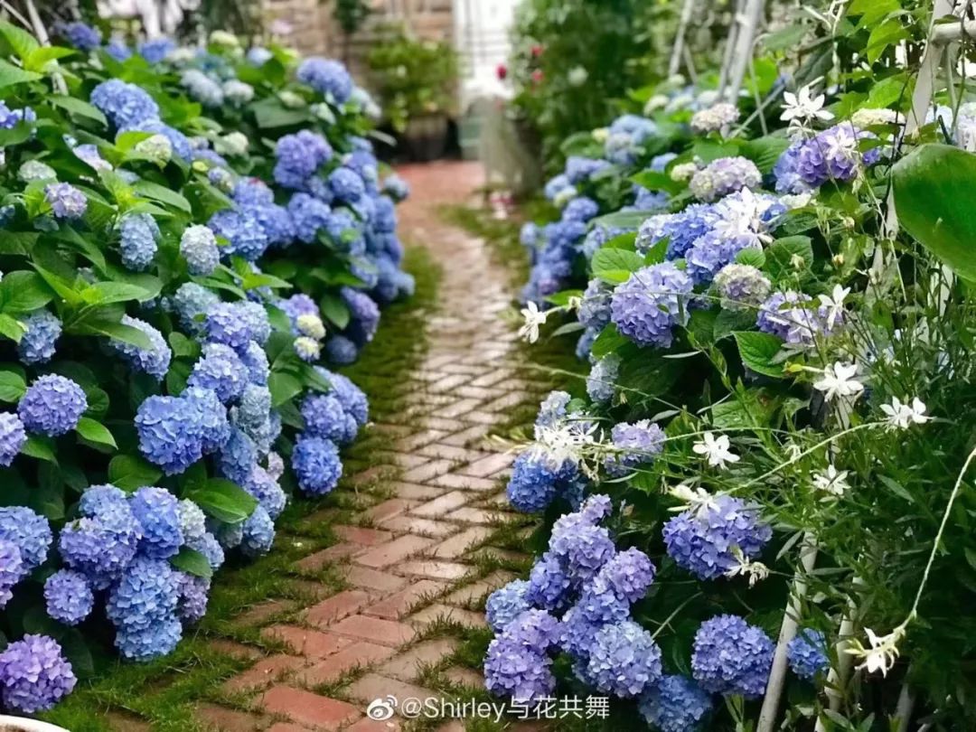 適合逃離的5家花園民宿，不賺錢隻種花，結果刷爆抖音！ 家居 第40張