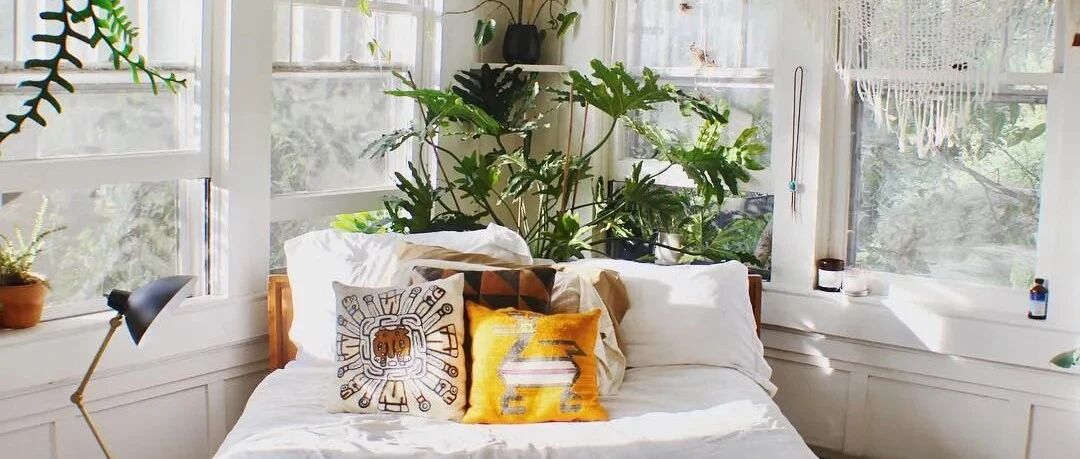 绿植收纳做得好，小户型也能坐拥小森林！