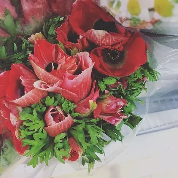 银莲花，优雅却不高冷