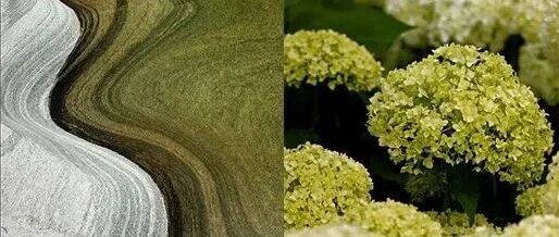 来点“泡菜辣椒绿”吗？潘通发布2022年春夏流行色趋势，实用！