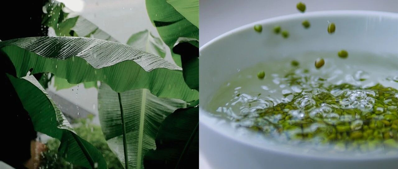 蝉鸣竹林，雨打芭蕉，再来一碗解暑汤